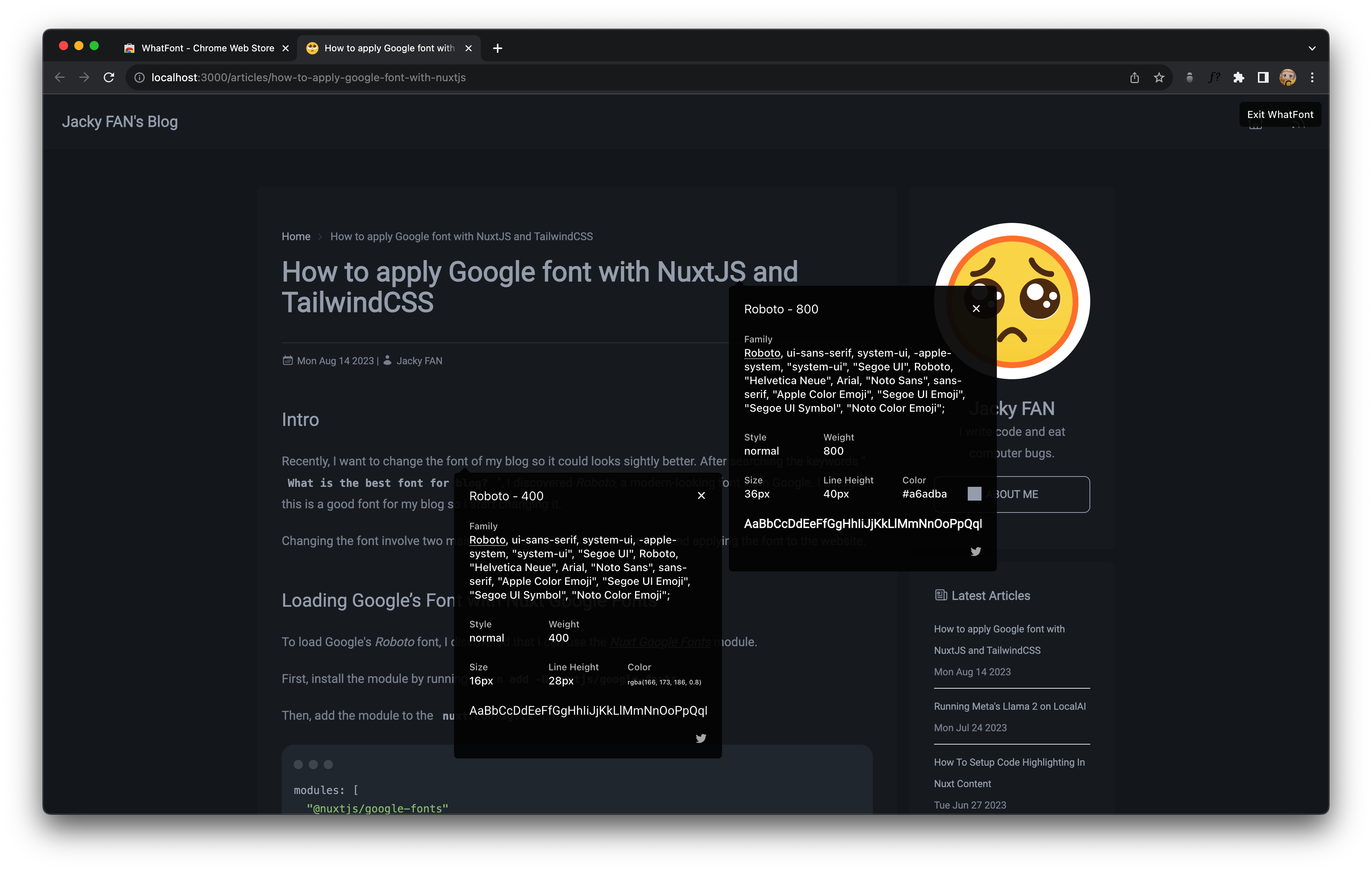 Google Font on NuxtJS